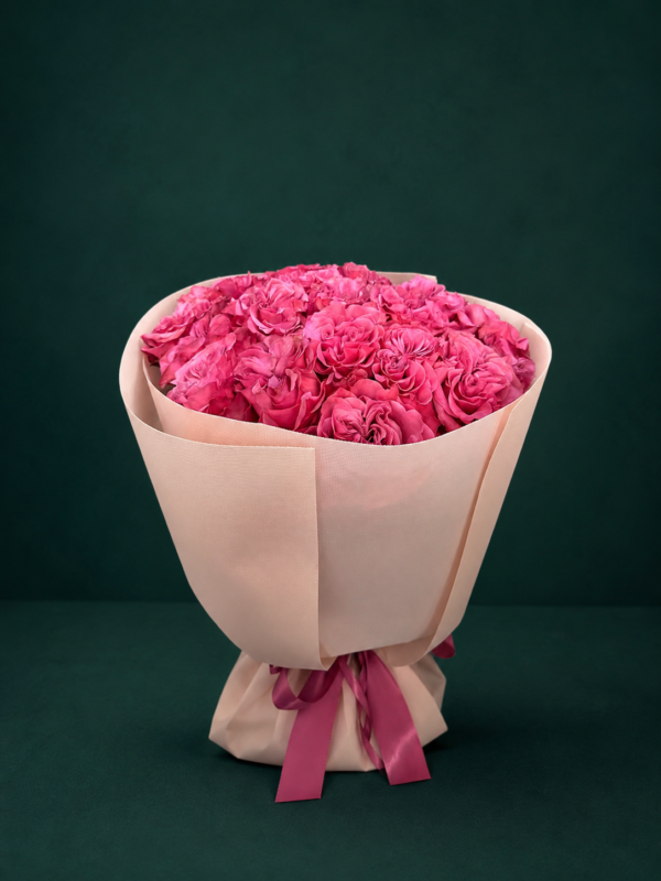 Pfingstrosenartige Rosen – 20