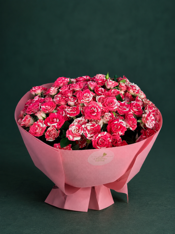 Spray Rosen – 29